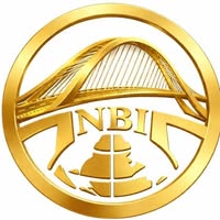 NexusBridge International logo